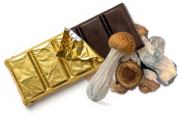 Hongos Direct mushroom-infused chocolate bar half-unwrapped with whole cubensis mushrooms, made in La Fortuna Costa Rica