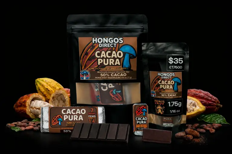Cacao Pura pure mushroom chocolate bar by Hongos Direct