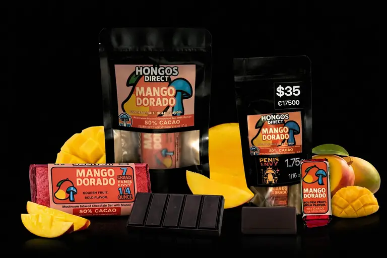 Mango Dorado mango mushroom chocolate bar by Hongos Direct